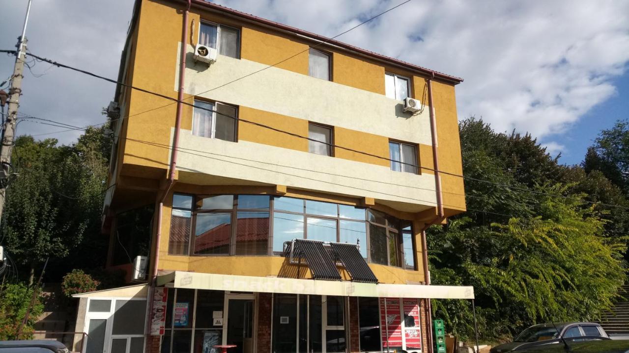 La Conu Iancu Hostel Ντρομπέτα-Τούρνου Σεβερίν Εξωτερικό φωτογραφία